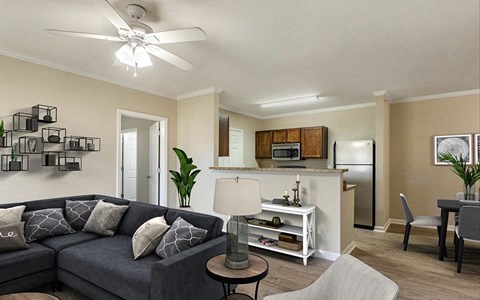 Living Room and Eat-in Kitchen at Chenal Pointe at the Divide, Arkansas, 72223